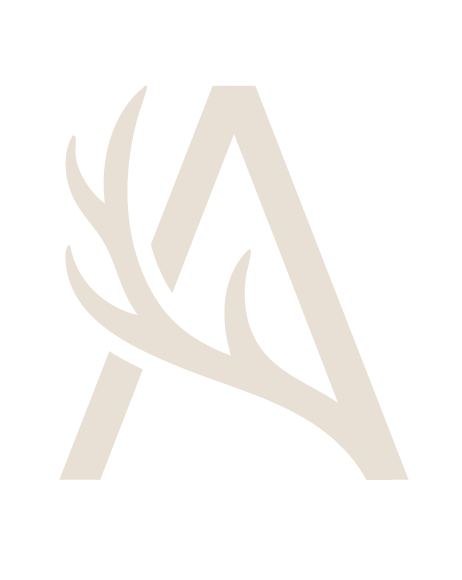 élagage arbre aix en provence et alentours